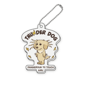 サンダーデザイン<br>キーホルダー